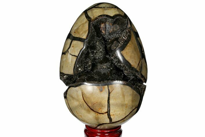 Septarian Dragon Egg Geode - Black Crystals #121260